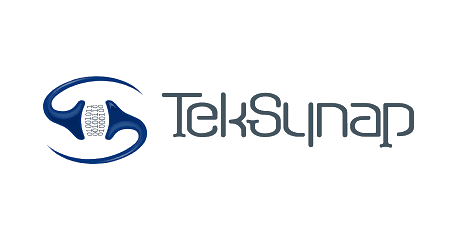Logo of TekSyn with a blue abstract design and gray text.